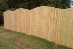 Fence 1