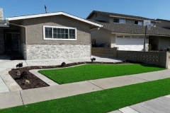 Artificial Grass