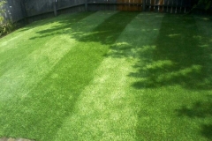 Artificial Grass