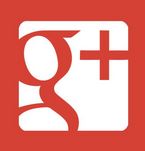 Google+ icon