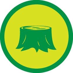 stump-removal-jpthelandscaper