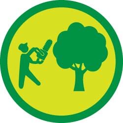 tree-services-jpthelandscaper